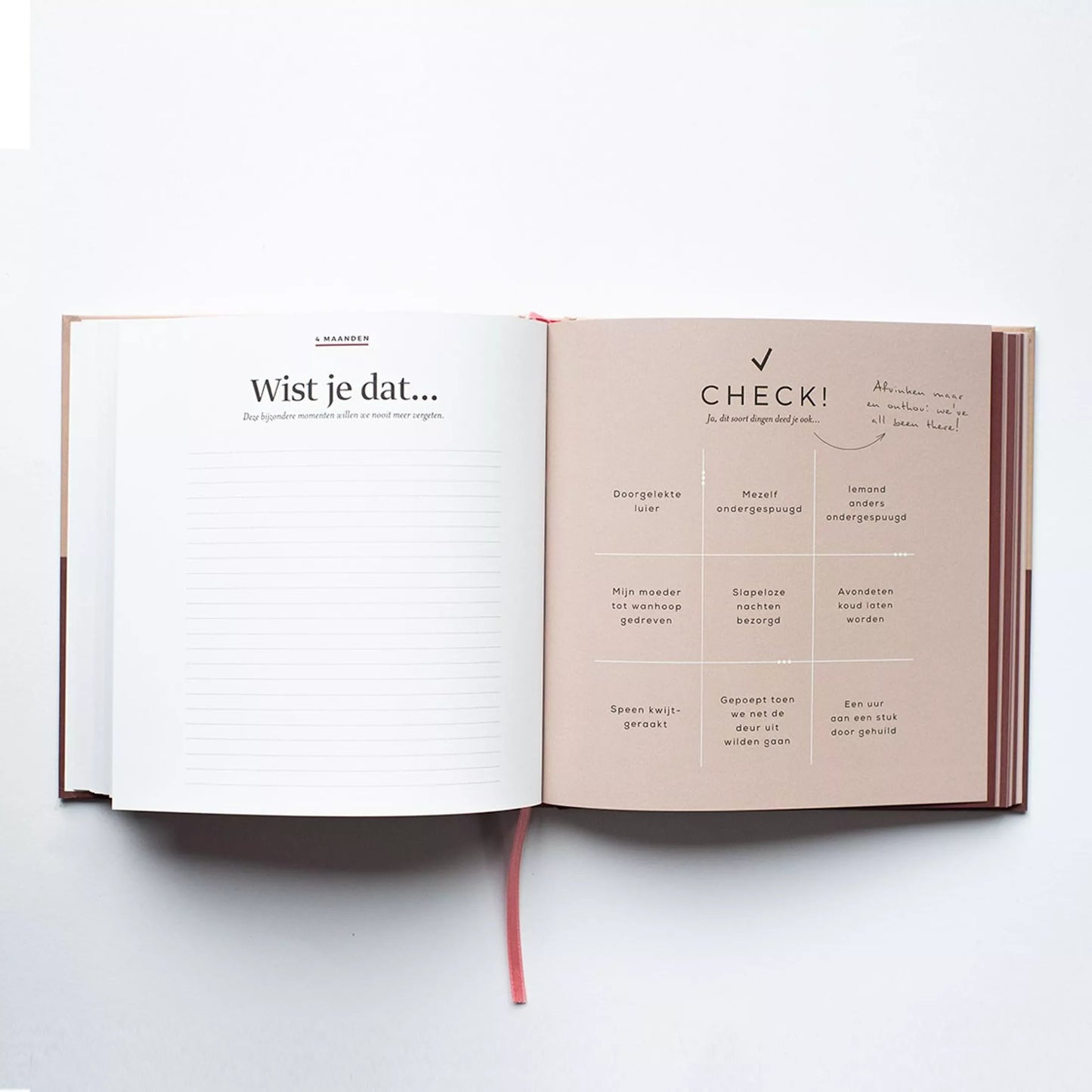 Baby milestones boek