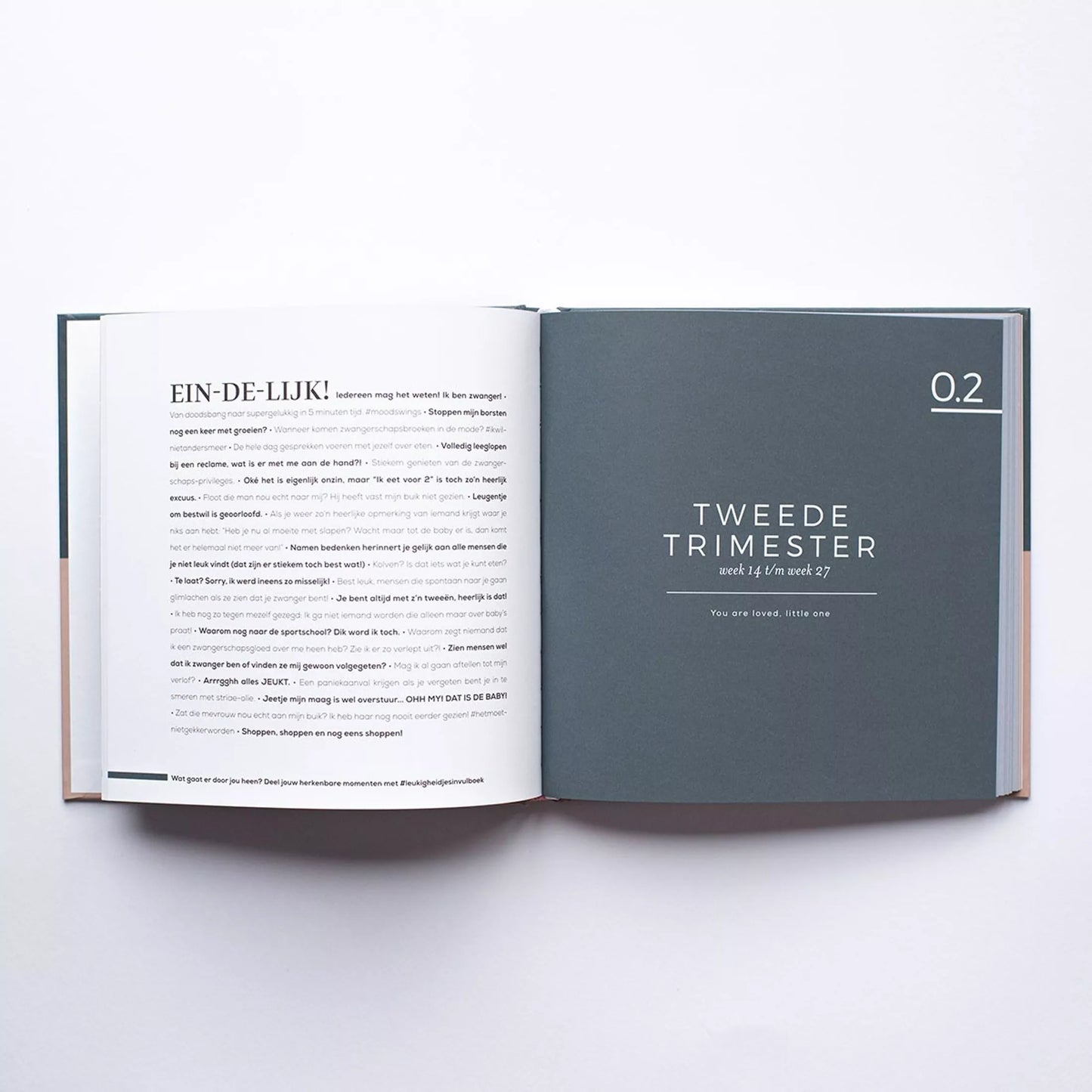 leuk zwangerschaps boek