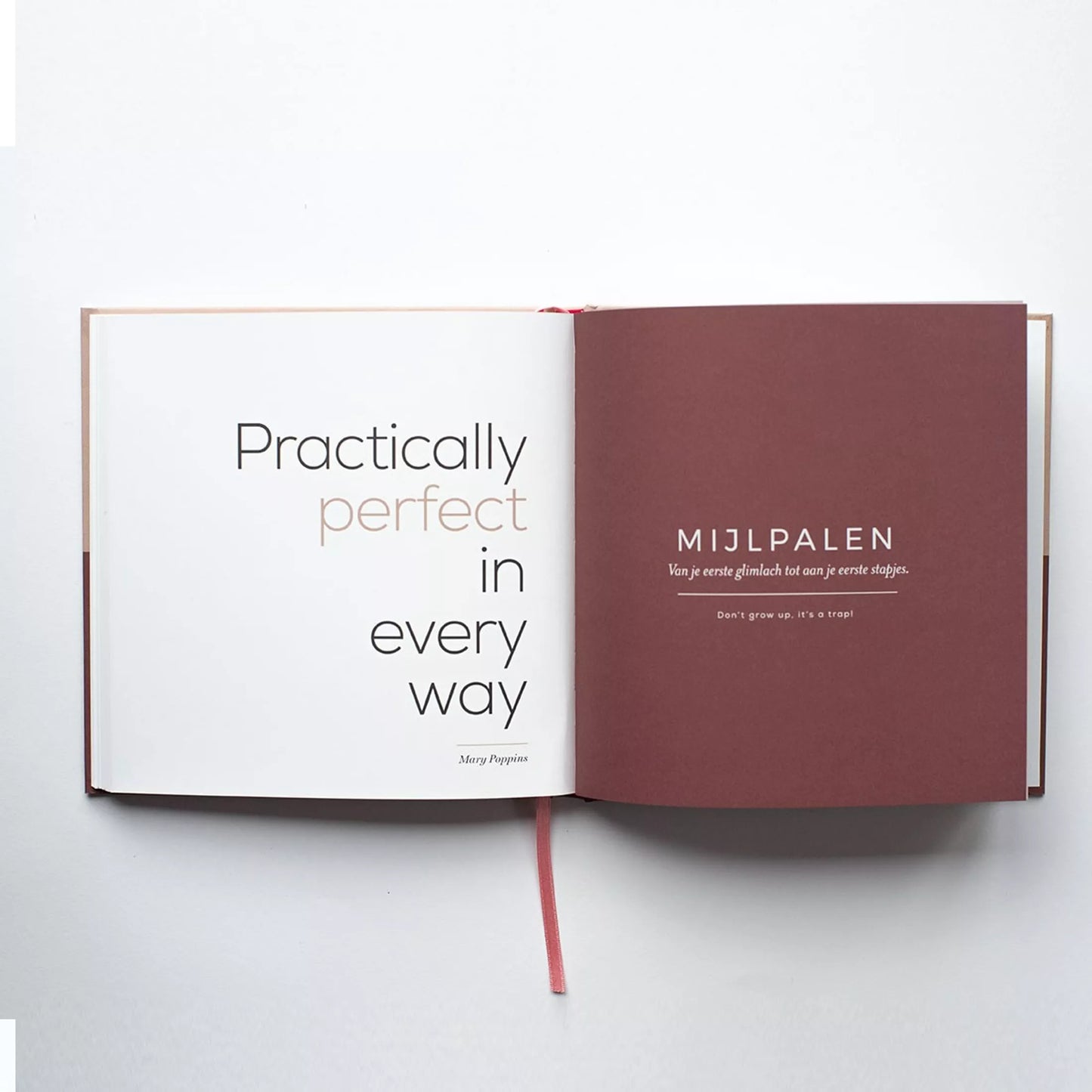 baby mijlpalen boek