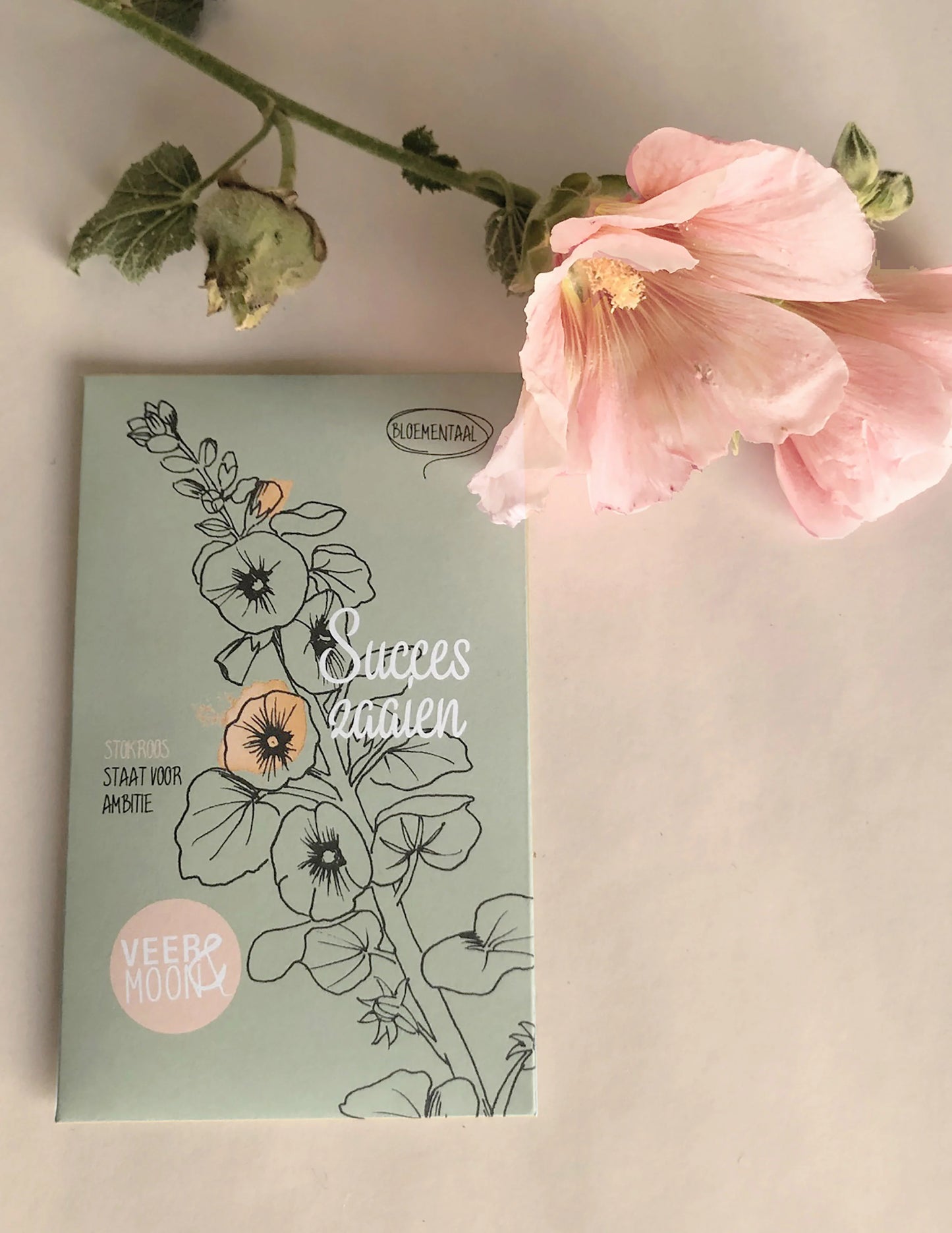 Succes zaaien | Stokroos