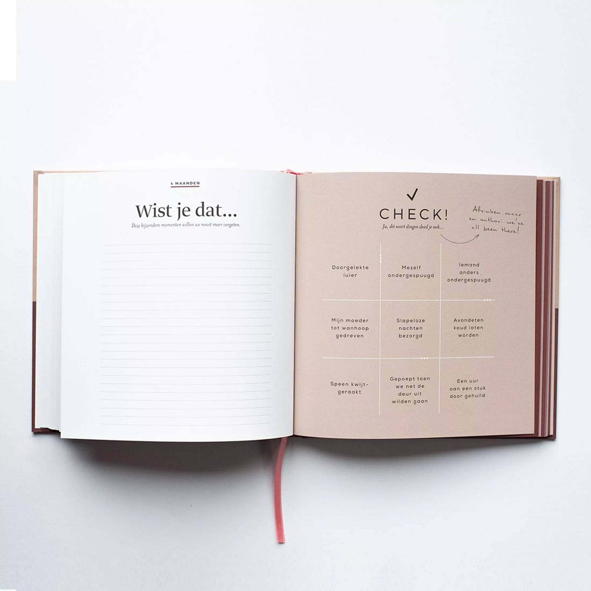 Baby milestones boek
