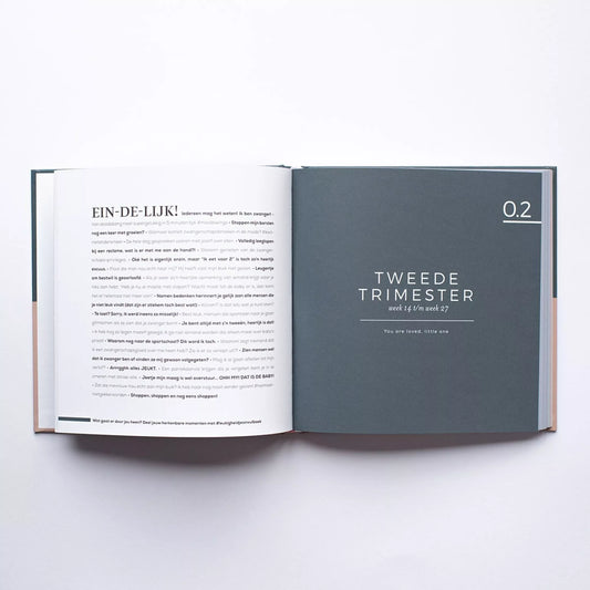 leuk zwangerschaps boek